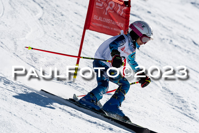 SVM U8-U10 VSL 29.01.2023