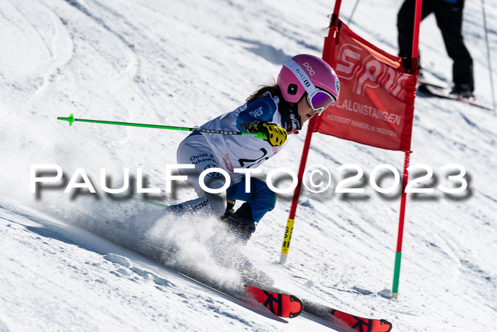 SVM U8-U10 VSL 29.01.2023