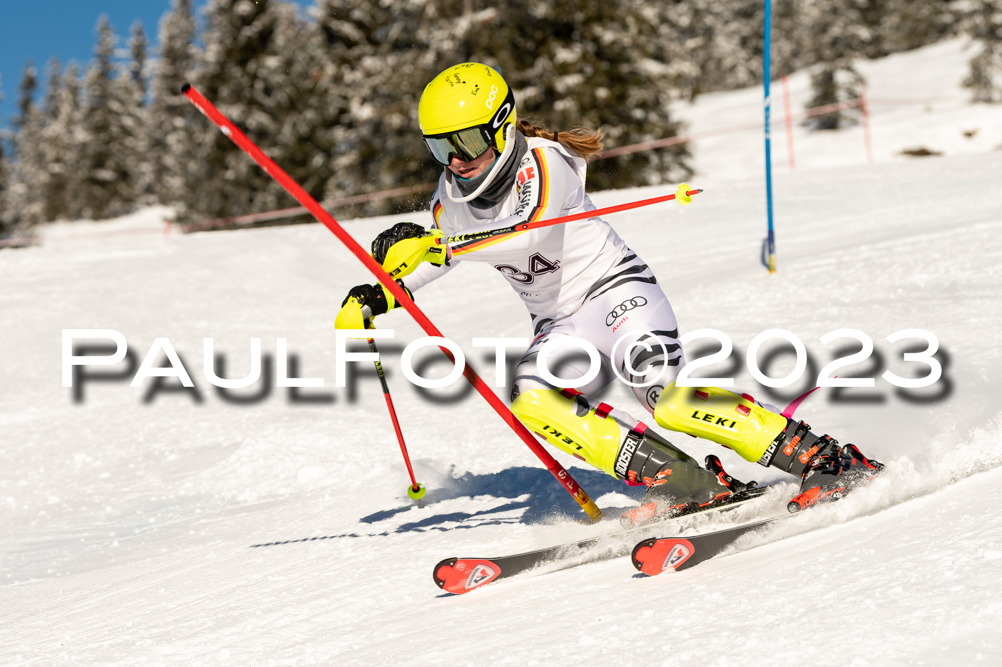 VI. SVM CUP U14/U16 SL, 29.01.2023
