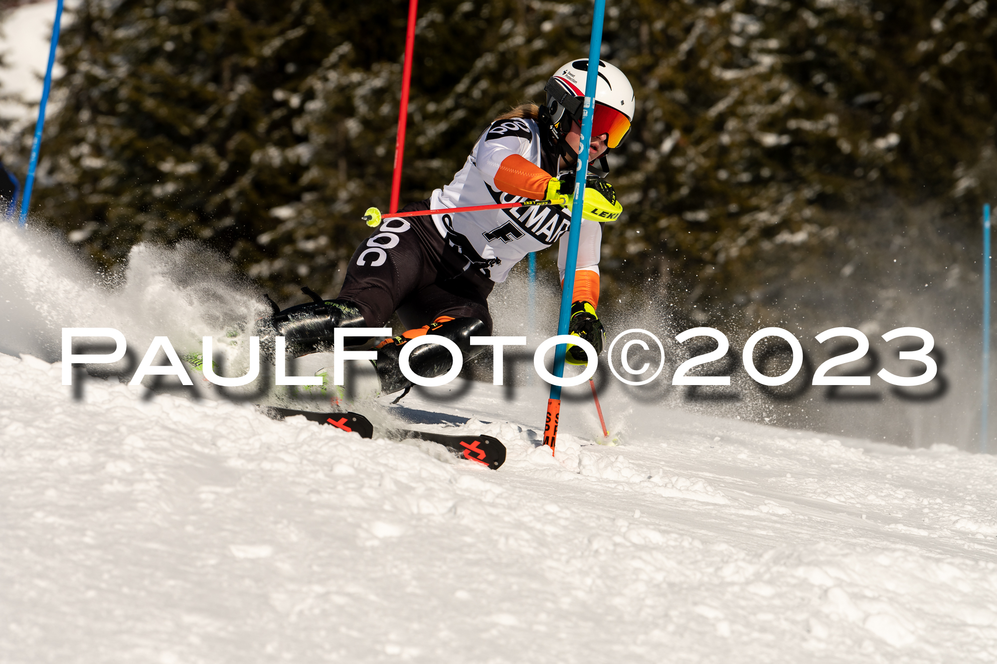 VI. SVM CUP U14/U16 SL, 29.01.2023