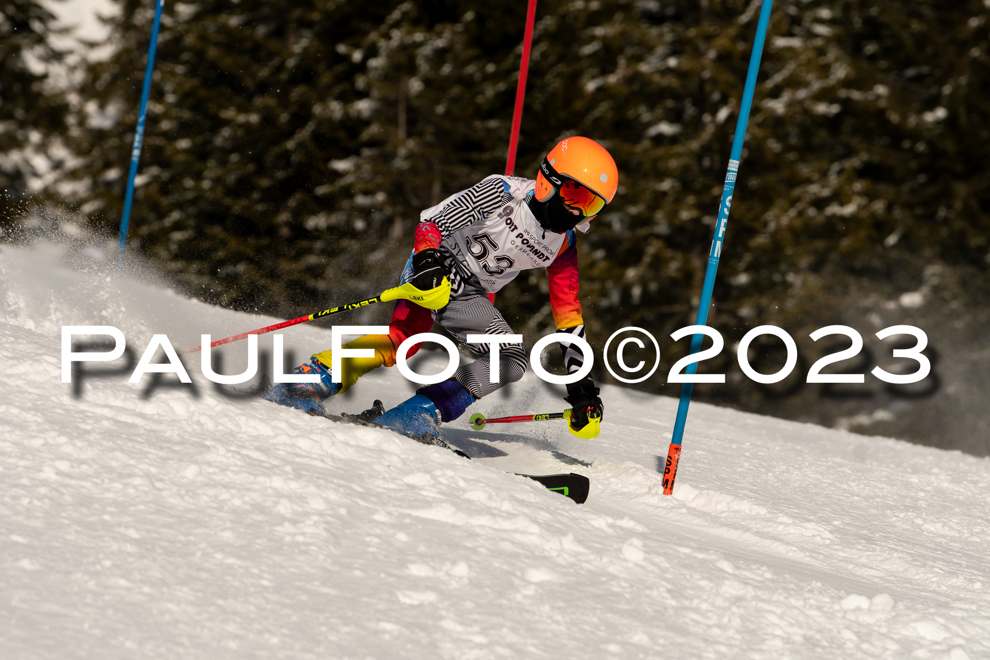 VI. SVM CUP U14/U16 SL, 29.01.2023