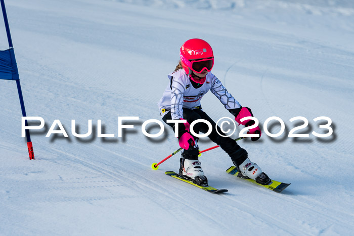 DSV Skitty Cup U'gau, 05.02.2023