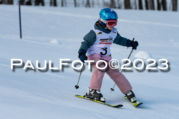 DSV Skitty Cup U'gau, 05.02.2023