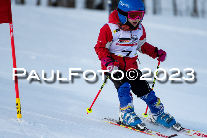 DSV Skitty Cup U'gau, 05.02.2023