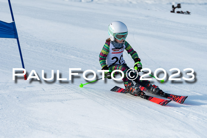 DSV Skitty Cup U'gau, 05.02.2023