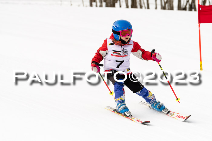 DSV Skitty Cup U'gau, 05.02.2023