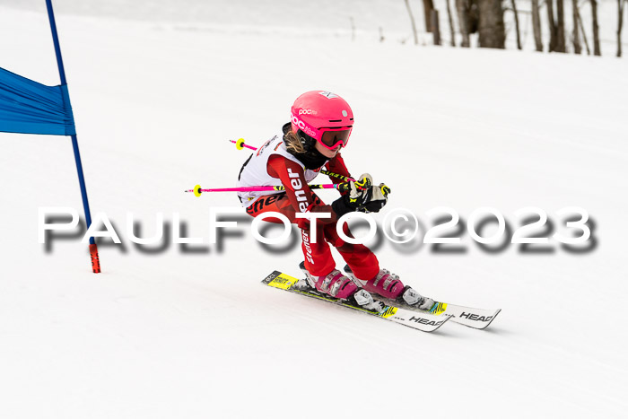 DSV Skitty Cup U'gau, 05.02.2023