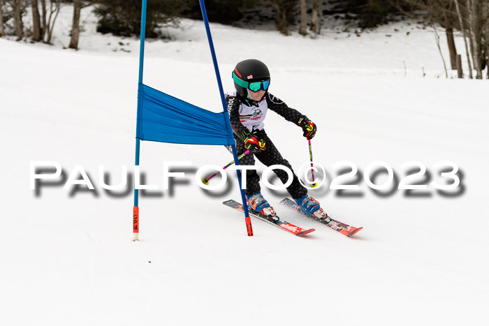 DSV Skitty Cup U'gau, 05.02.2023