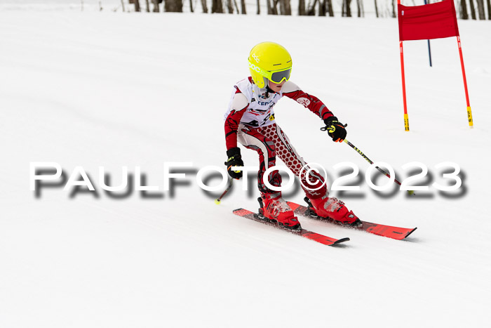 DSV Skitty Cup U'gau, 05.02.2023