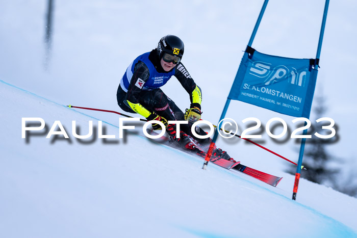 FIS Riesenslalom, Damen, Bayerische  + Jugendmeistersachaft 09.02.2023