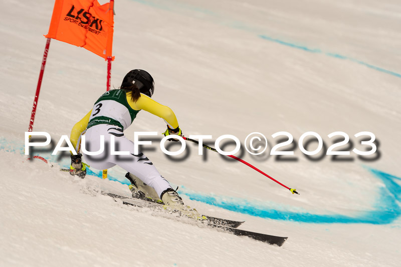 NJC + FIS, Super-G, Damen , 17.02.2023