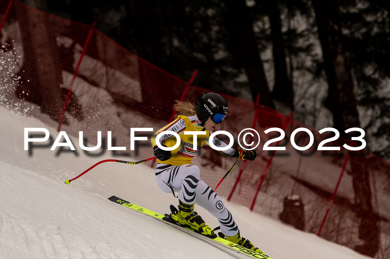 NJC + FIS, Super-G, Damen , 17.02.2023