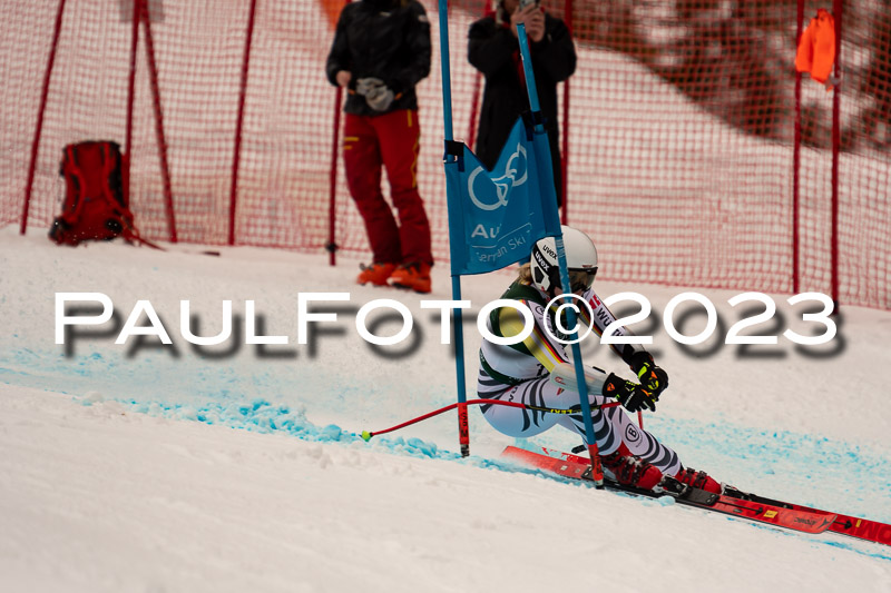 NJC + FIS, Super-G, Damen , 17.02.2023