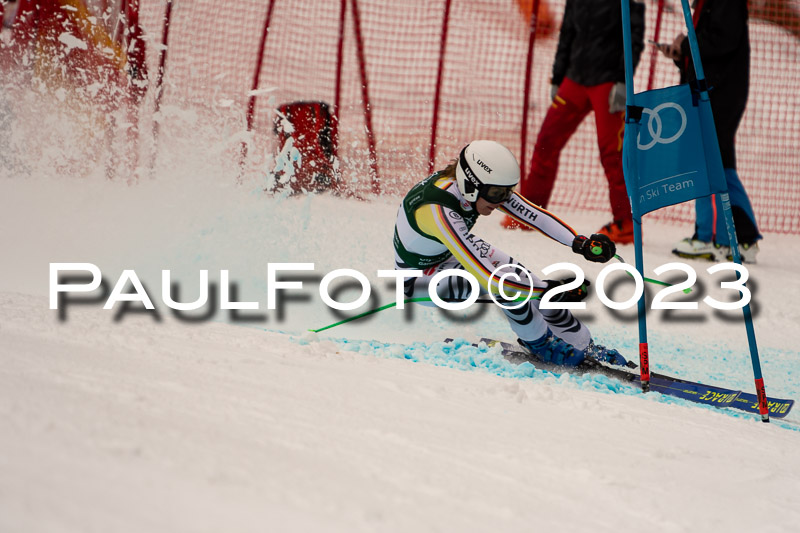 NJC + FIS, Super-G, Damen , 17.02.2023