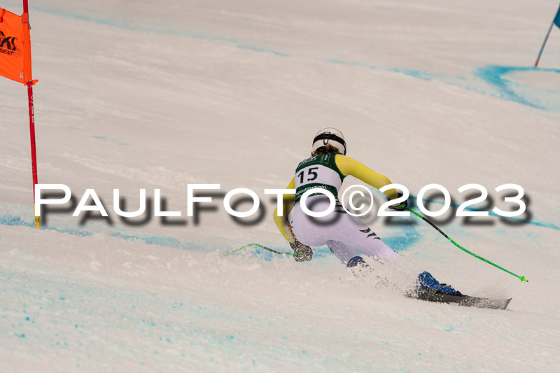 NJC + FIS, Super-G, Damen , 17.02.2023