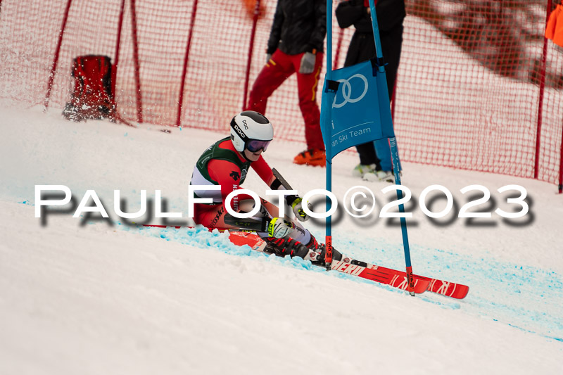 NJC + FIS, Super-G, Damen , 17.02.2023