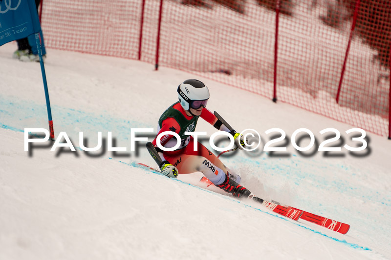 NJC + FIS, Super-G, Damen , 17.02.2023