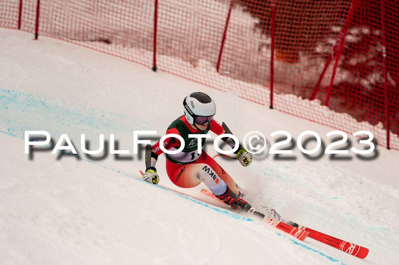 NJC + FIS, Super-G, Damen , 17.02.2023