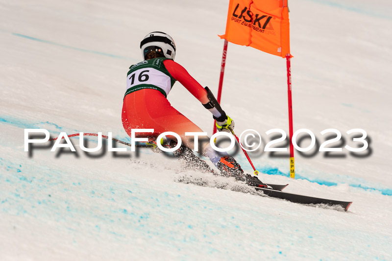NJC + FIS, Super-G, Damen , 17.02.2023