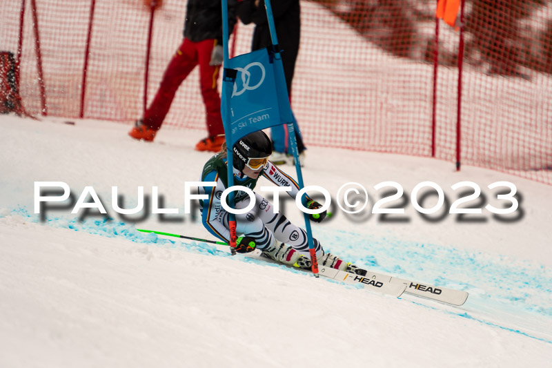 NJC + FIS, Super-G, Damen , 17.02.2023
