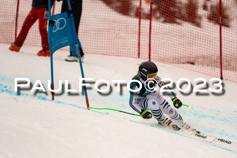 NJC + FIS, Super-G, Damen , 17.02.2023