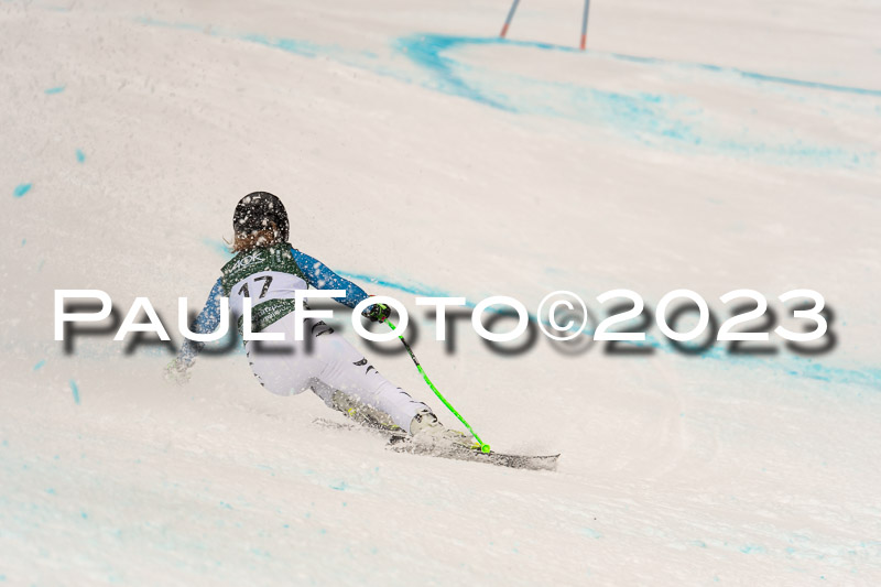 NJC + FIS, Super-G, Damen , 17.02.2023