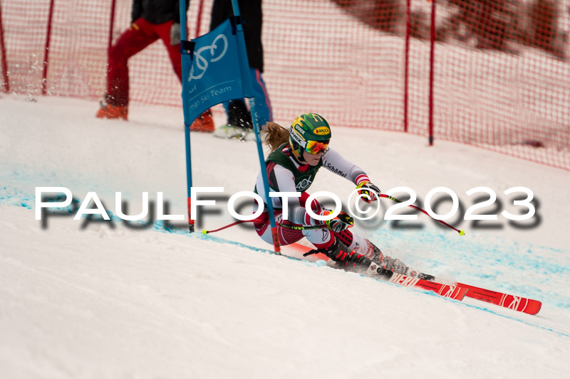 NJC + FIS, Super-G, Damen , 17.02.2023