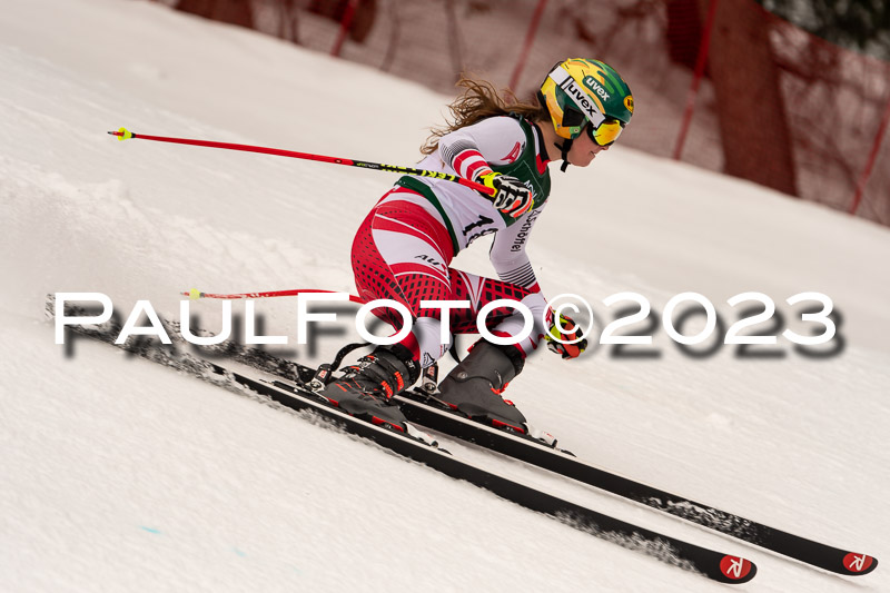 NJC + FIS, Super-G, Damen , 17.02.2023