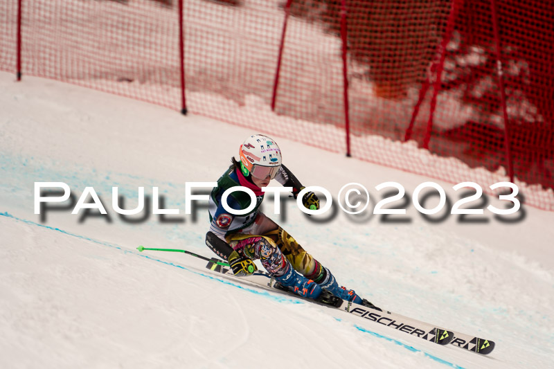 NJC + FIS, Super-G, Damen , 17.02.2023