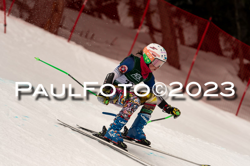 NJC + FIS, Super-G, Damen , 17.02.2023