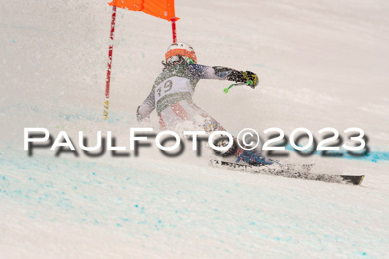 NJC + FIS, Super-G, Damen , 17.02.2023