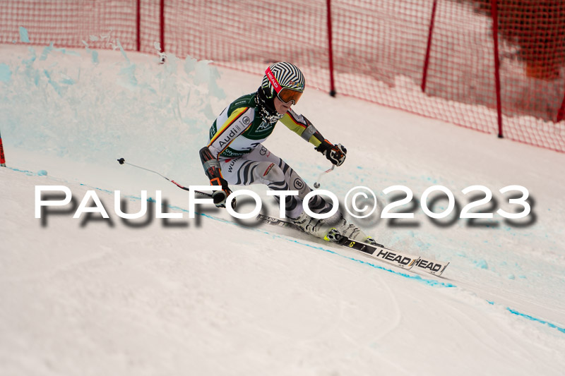 NJC + FIS, Super-G, Damen , 17.02.2023
