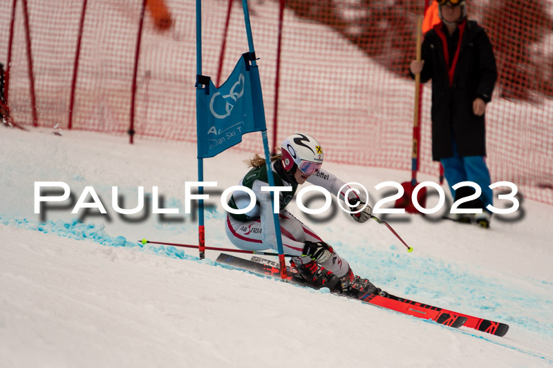 NJC + FIS, Super-G, Damen , 17.02.2023