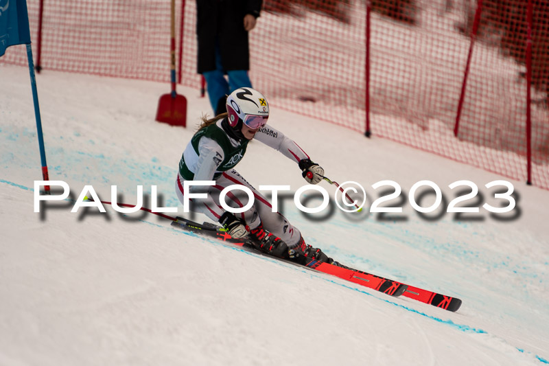 NJC + FIS, Super-G, Damen , 17.02.2023