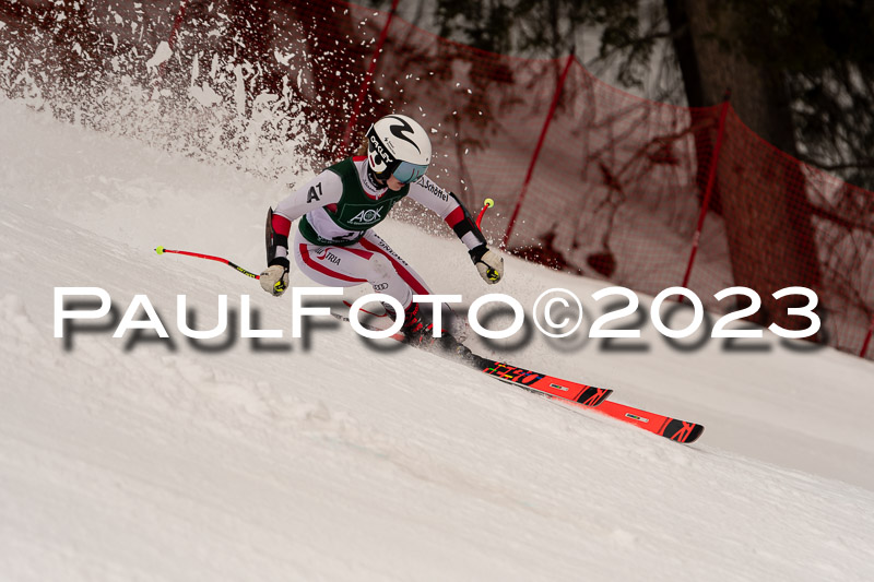 NJC + FIS, Super-G, Damen , 17.02.2023