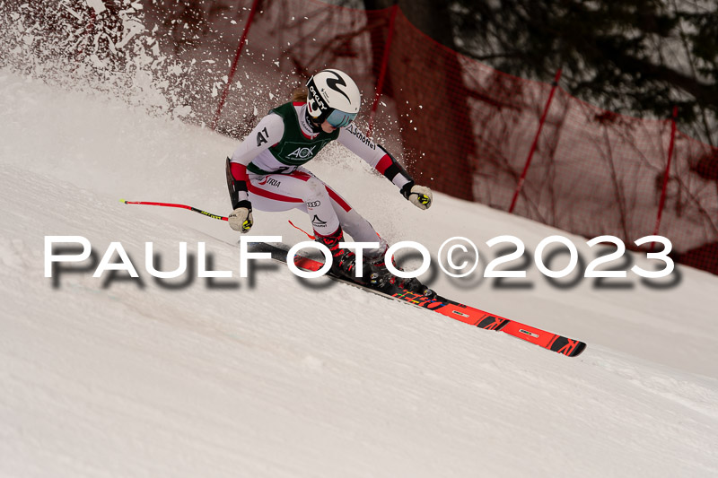 NJC + FIS, Super-G, Damen , 17.02.2023