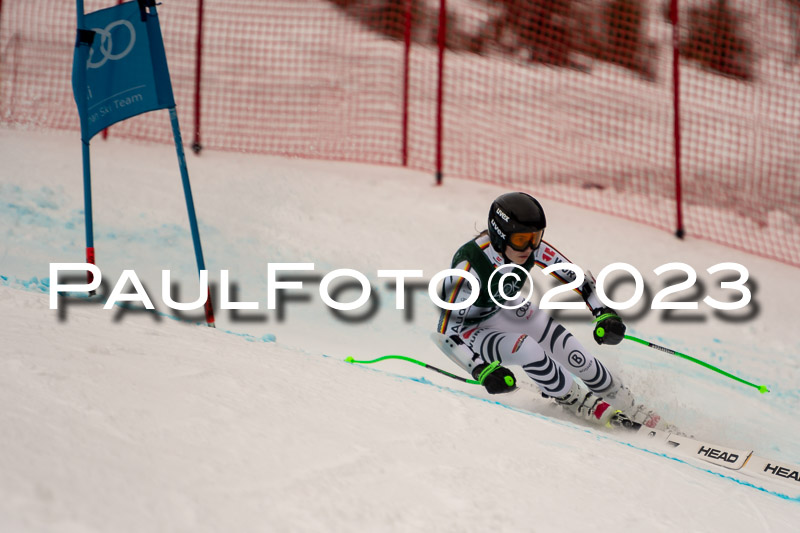 NJC + FIS, Super-G, Damen , 17.02.2023