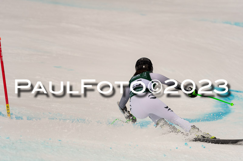 NJC + FIS, Super-G, Damen , 17.02.2023