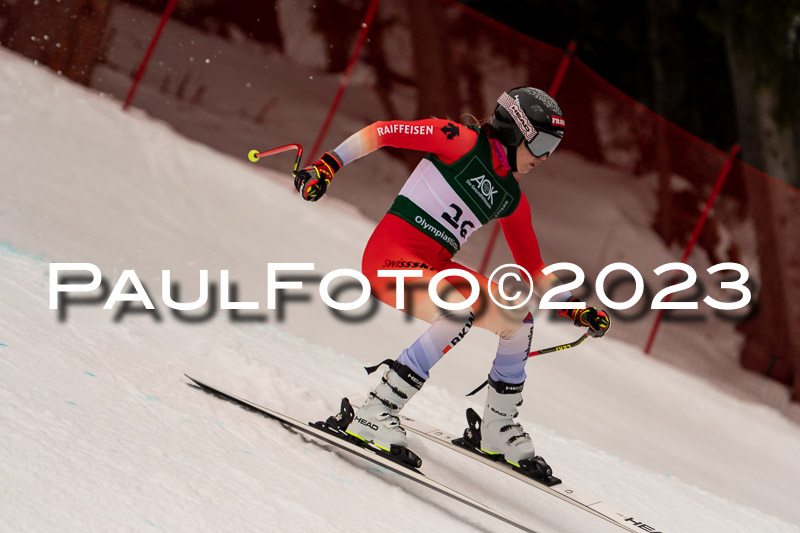 NJC + FIS, Super-G, Damen , 17.02.2023