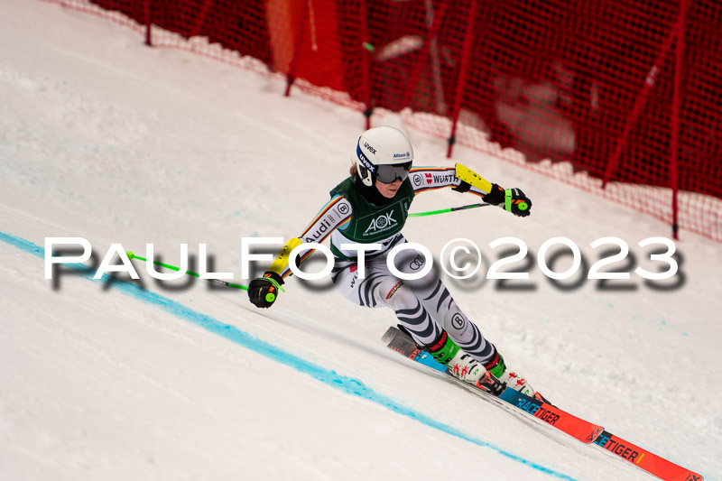 NJC + FIS, Super-G, Damen , 17.02.2023