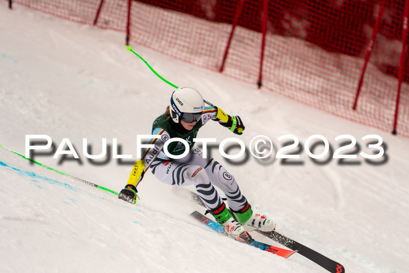 NJC + FIS, Super-G, Damen , 17.02.2023