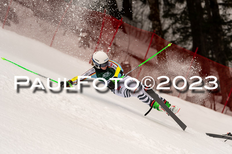 NJC + FIS, Super-G, Damen , 17.02.2023