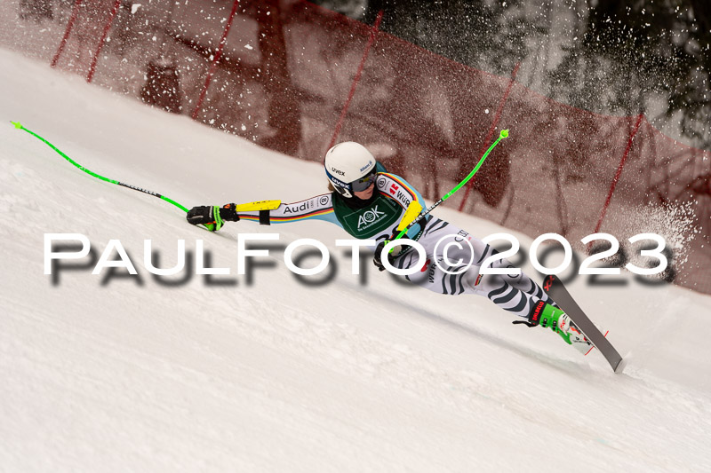NJC + FIS, Super-G, Damen , 17.02.2023