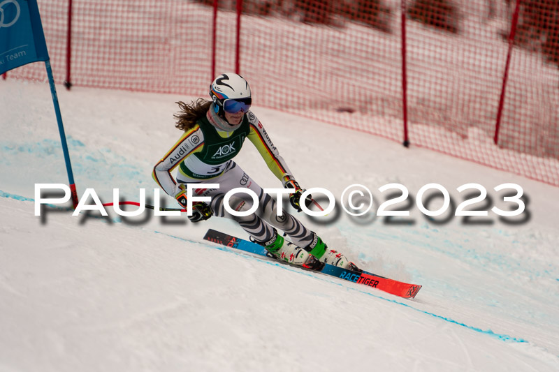 NJC + FIS, Super-G, Damen , 17.02.2023