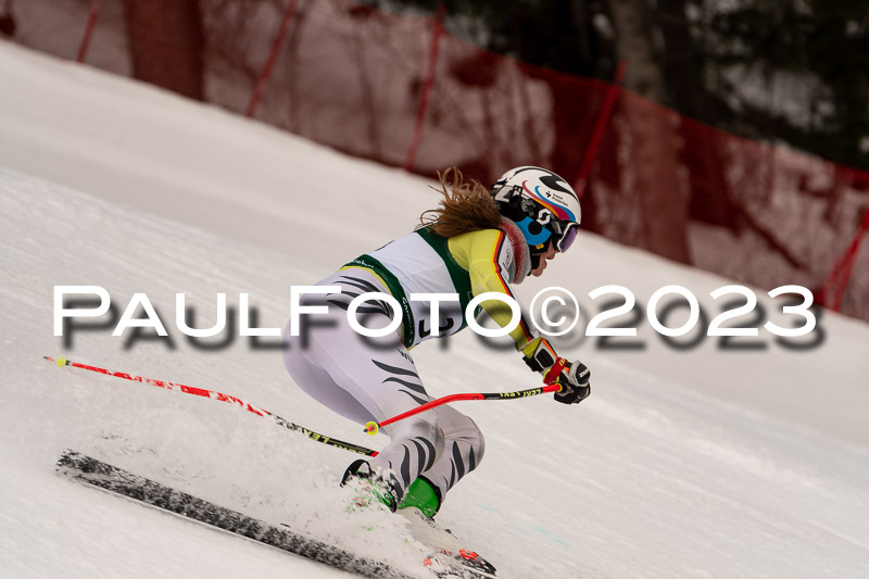 NJC + FIS, Super-G, Damen , 17.02.2023