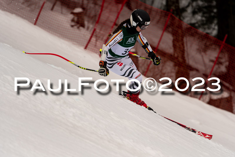 NJC + FIS, Super-G, Damen , 17.02.2023