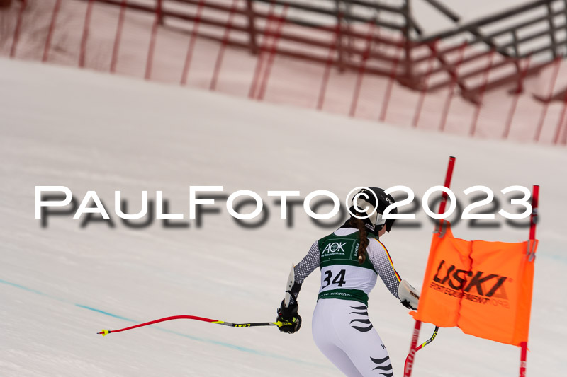 NJC + FIS, Super-G, Damen , 17.02.2023