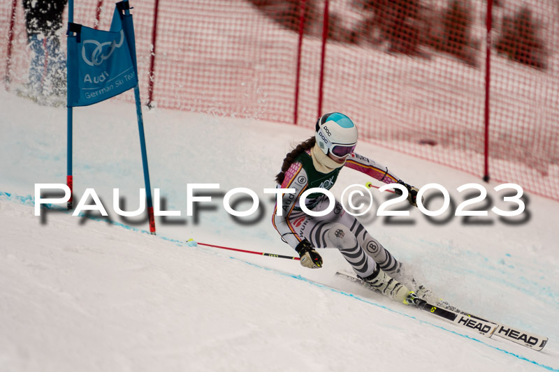 NJC + FIS, Super-G, Damen , 17.02.2023