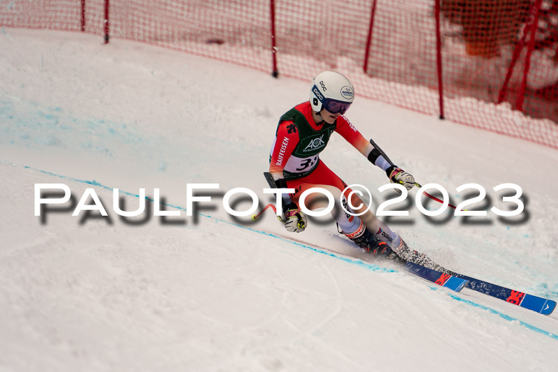 NJC + FIS, Super-G, Damen , 17.02.2023