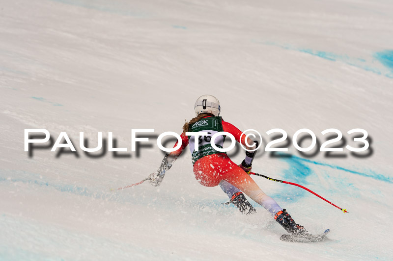 NJC + FIS, Super-G, Damen , 17.02.2023